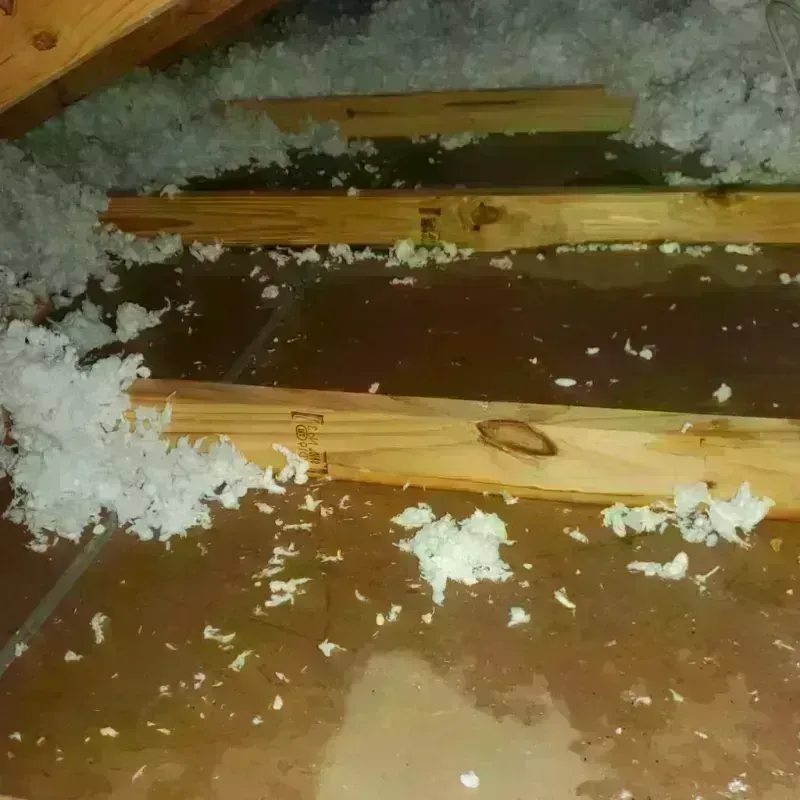 Attic Water Damage in Knob Noster, MO